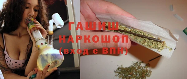 прущие грибы Медногорск