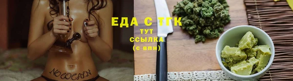 прущие грибы Медногорск