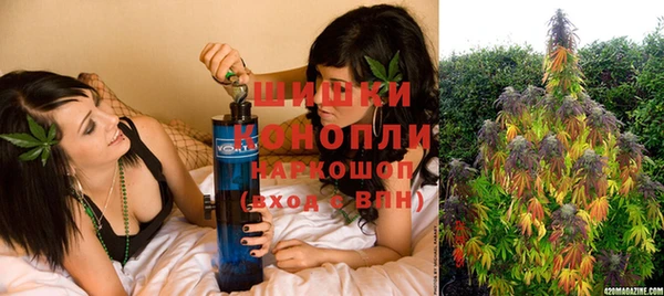 прущие грибы Медногорск