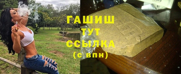 прущие грибы Медногорск