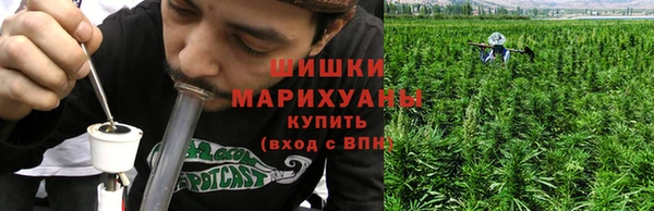стаф Майский