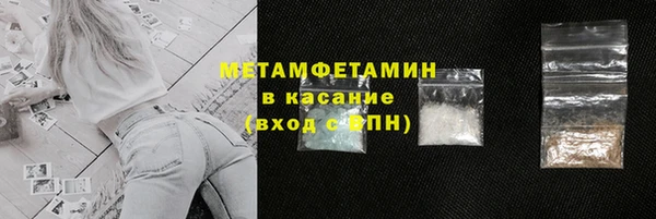 прущие грибы Медногорск