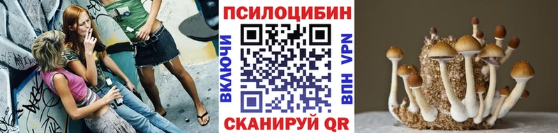 купить наркотики сайты  Нефтекумск  Псилоцибиновые грибы Psilocybe 