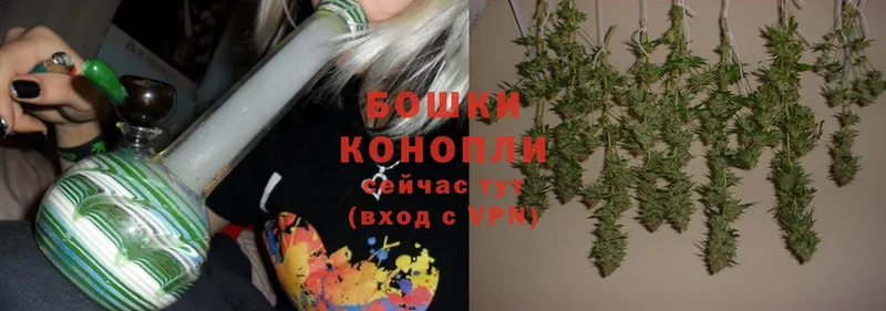 МАРИХУАНА SATIVA & INDICA  Нефтекумск 